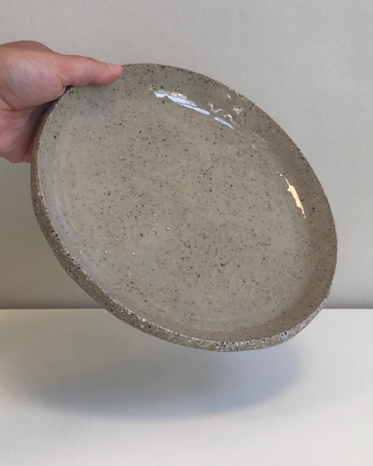 Big speckled plate
